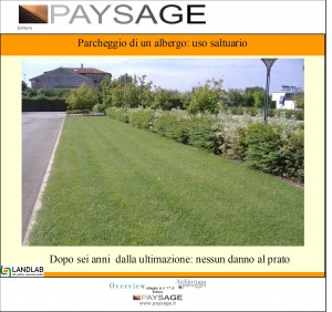 Immagine23
