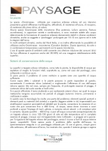 Immagine5